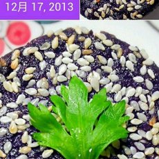 紫薯糯米饼