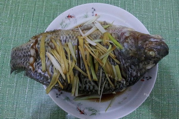 私房清蒸罗非鱼