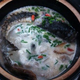 水煮活青石斑鱼