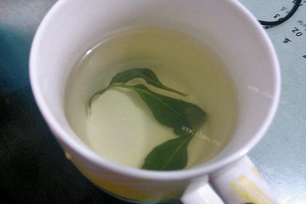 夏日去暑凉茶～～冰镇薄荷蜂蜜茶