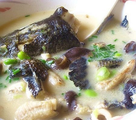 黑鱼汤