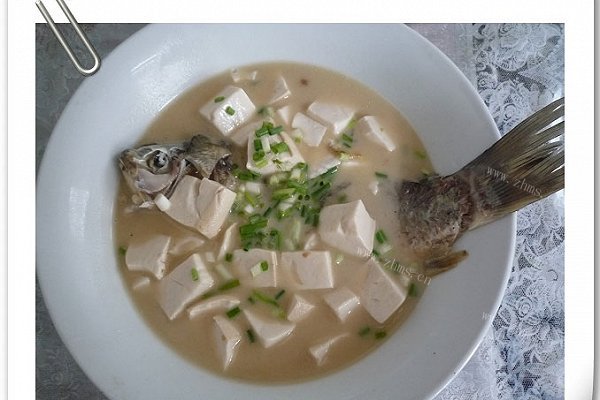 家常豆腐鲫鱼
