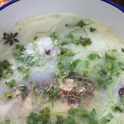 易做的鱼头豆腐汤