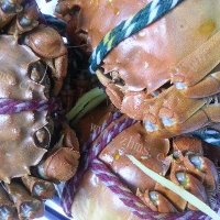 大闸蟹最经典烹饪法-清蒸