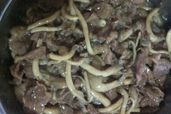 九日平菇炒肉片