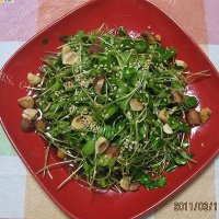 杂果香椿苗-清火爽口小凉菜