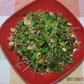 杂果香椿苗-清火爽口小凉菜
