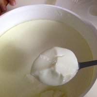 家庭奶粉自制酸奶