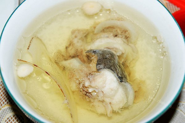 家常川贝陈皮炖鳄鱼