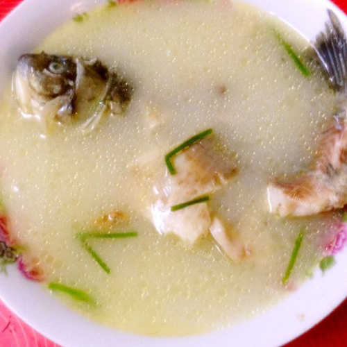 自己做的鱼头豆腐汤