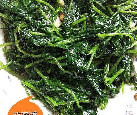 蒜蓉炒番薯叶