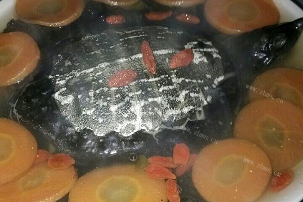家常清蒸甲鱼