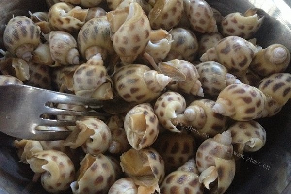 白灼花螺