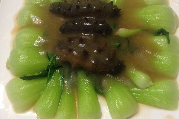 海参pa菜心