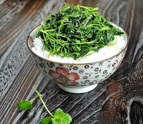 健康的蚝油草头