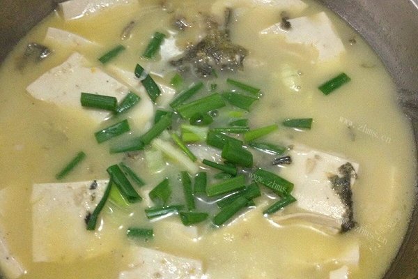 独家黄辣丁炖豆腐