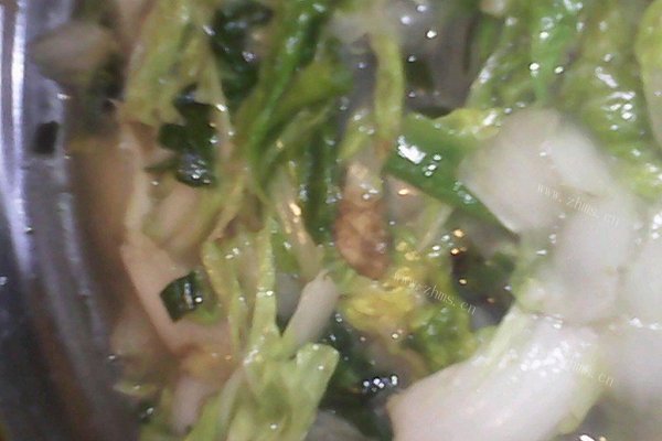 醋溜白菜