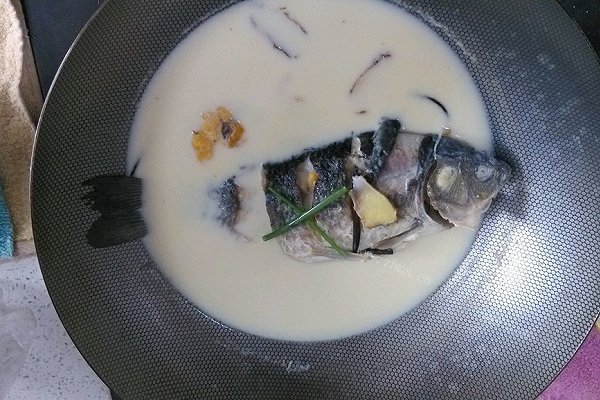 慈母鱼