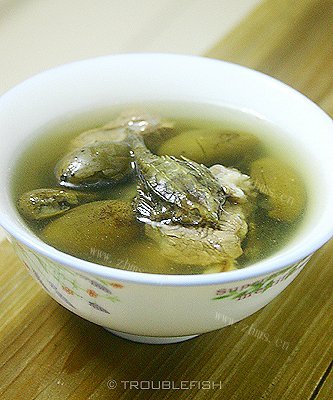 咸橄榄炖海麻雀