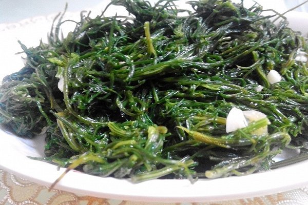 凉拌猪毛菜