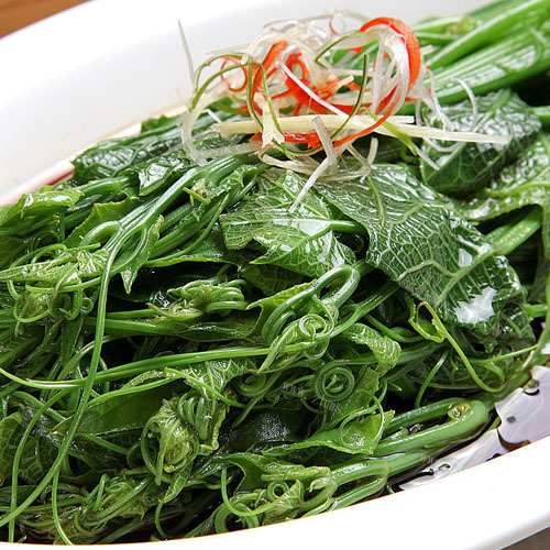 美味的龙须菜 
