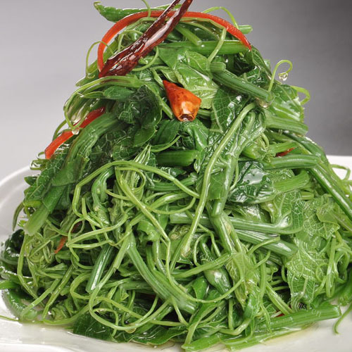 鲜菇龙须菜 