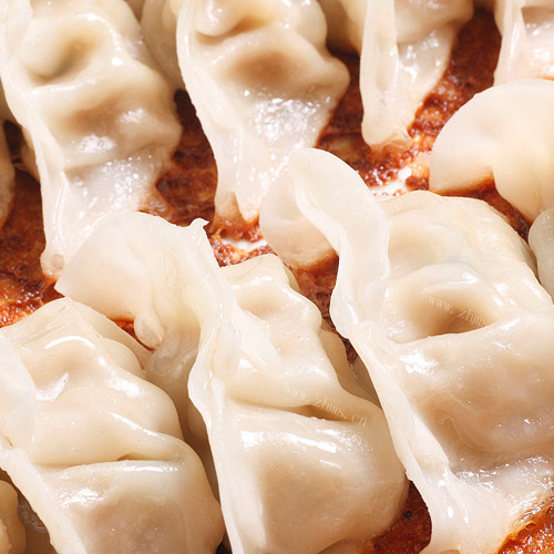 自制猪肉白菜饺子
