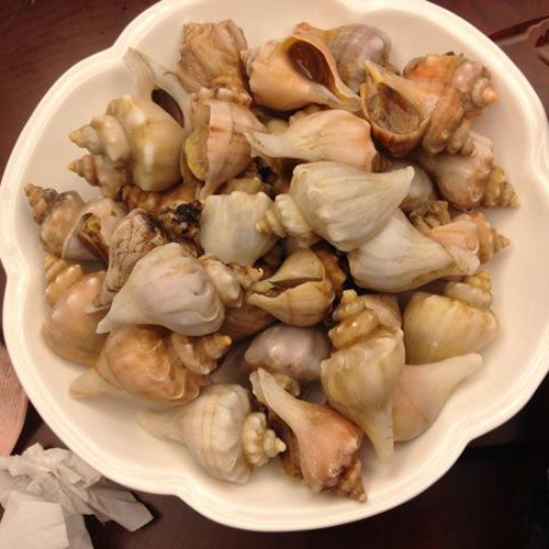 美味的白灼海螺