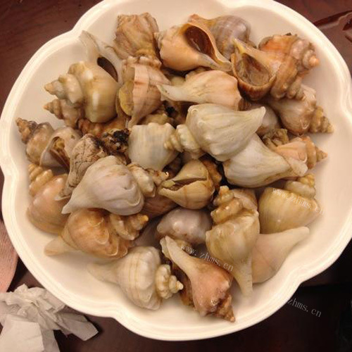 美味的白灼海螺