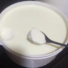 营养健康酸奶机自制酸奶