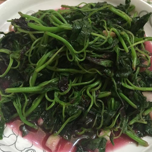 口感饱满的清炒苋菜
