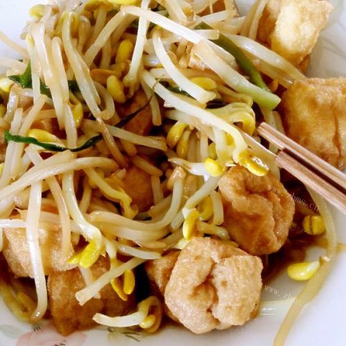 绿色自制黄豆芽