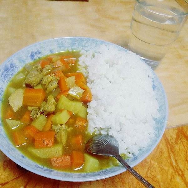 DIY咖喱鸡肉饭