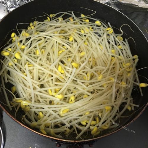 美味自制黄豆芽