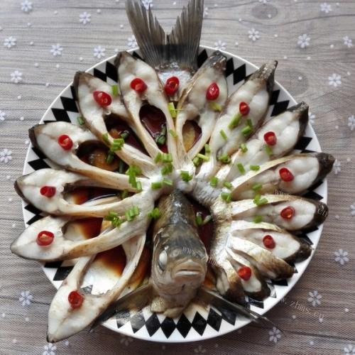 简单版孔雀开屏鱼