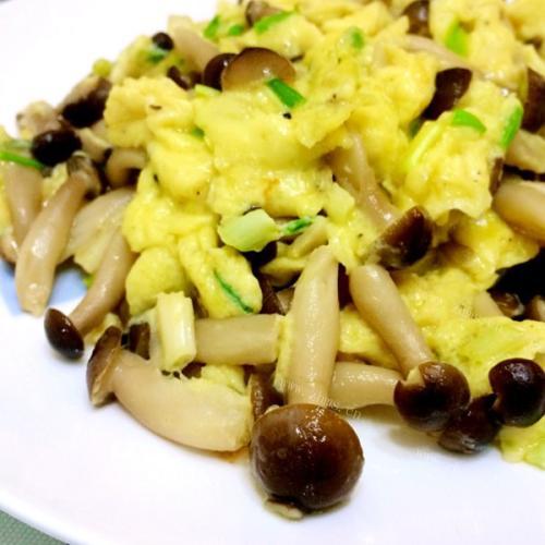 美味的蟹味菇