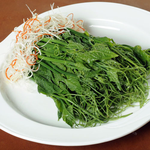 清香的龙须菜 