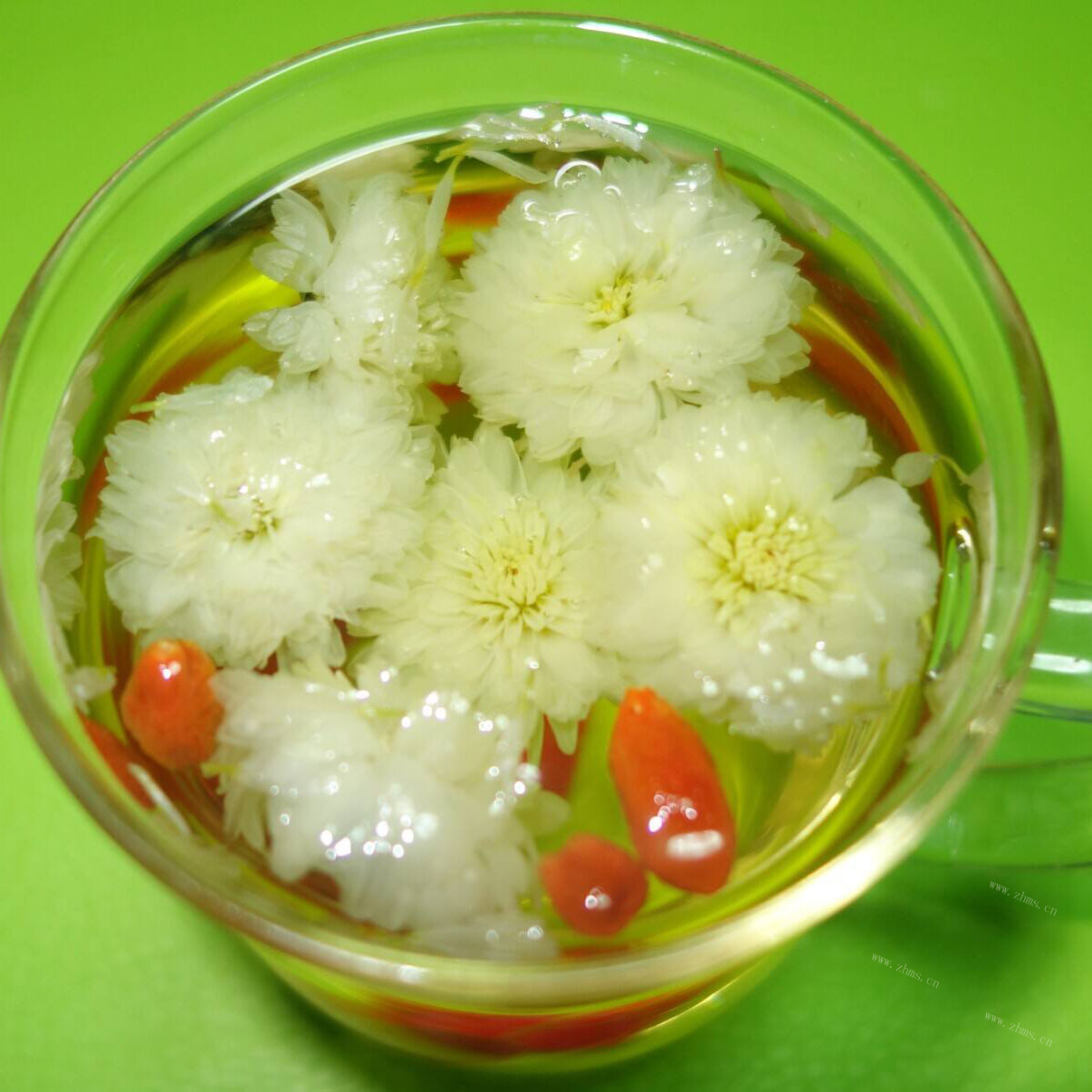 好喝的菊花枸杞茶