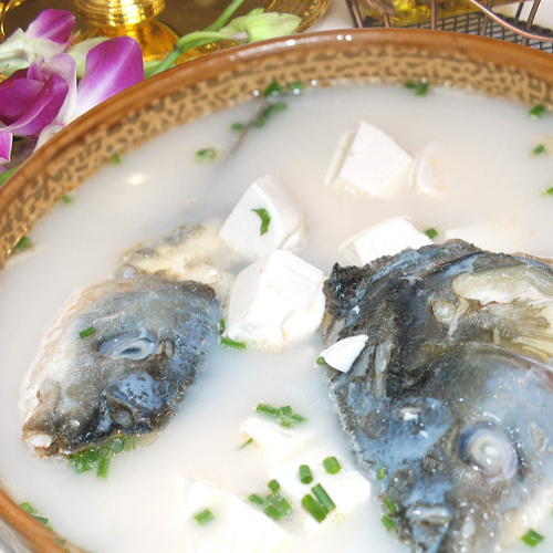 家常鱼头豆腐汤的做法
