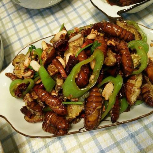 香酥烤蚕蛹