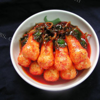 可口的韩国萝卜泡菜