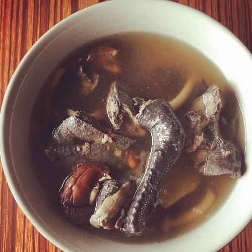 好吃的药膳乌鸡煲
