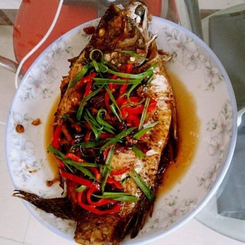 美味红烧福寿鱼
