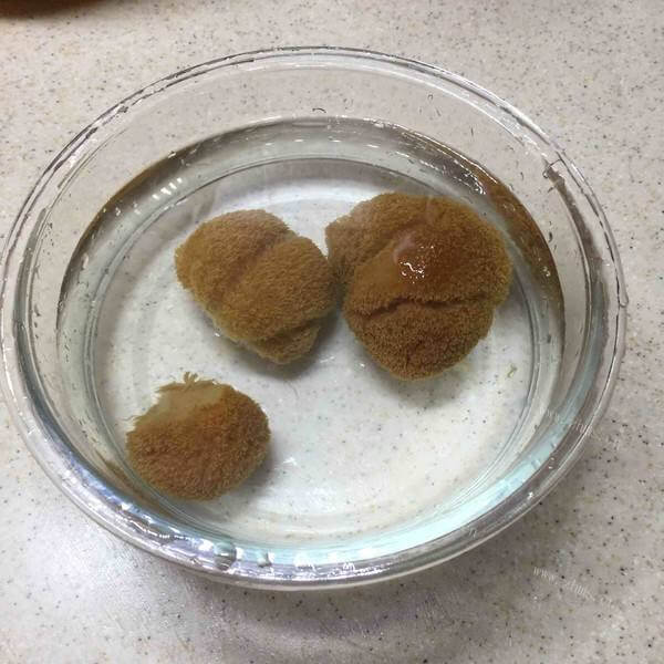 虫草花猴头菇煲汤