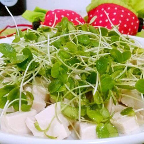 家常菜香椿拌豆腐