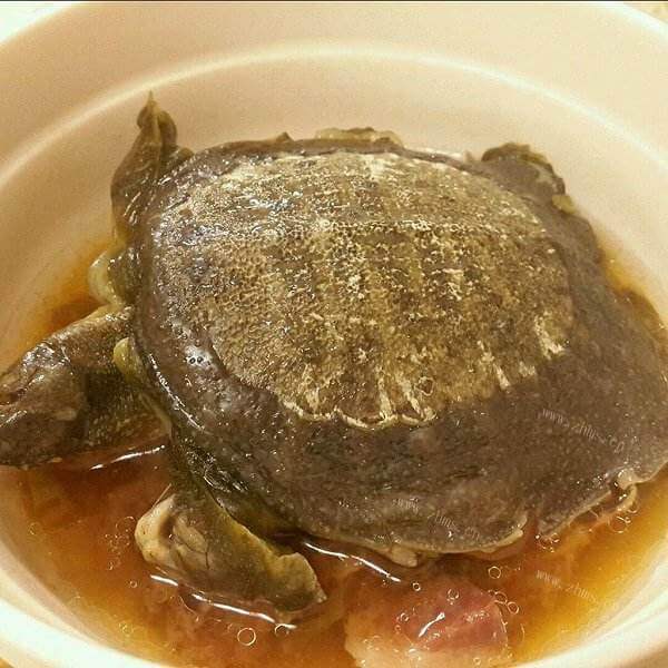 红煨甲鱼