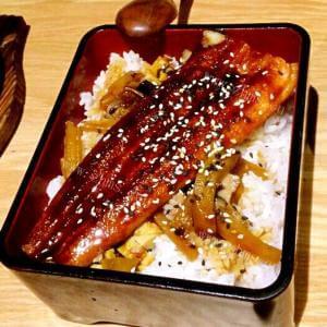 一款吸引眼球的锦绣蛋丝鳗鱼饭