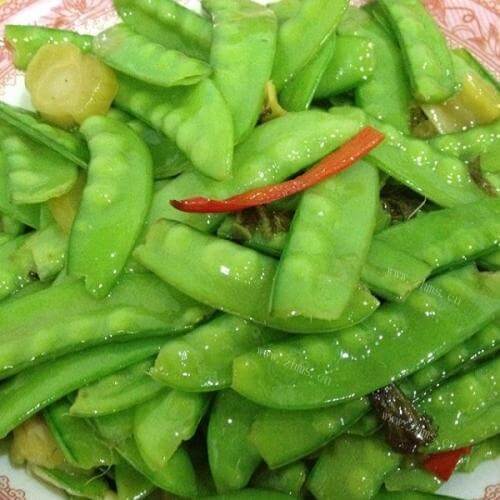 金顶四季豆