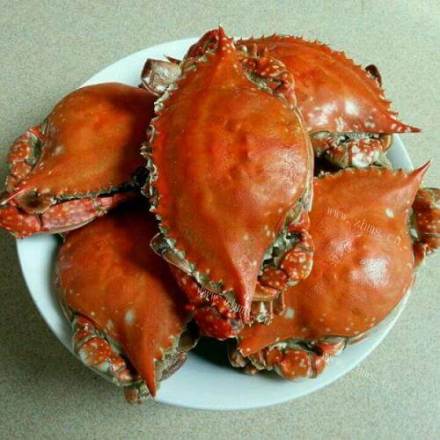 美味的蒸螃蟹