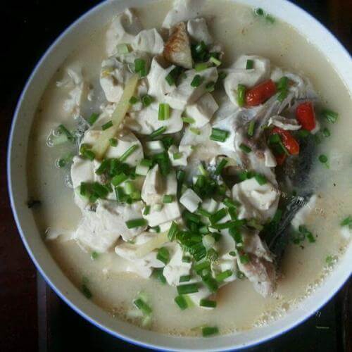 煎鱼不破皮儿-鱼头炖豆腐